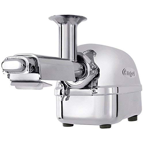 Super Angel Pro Stainless Steel Juicer