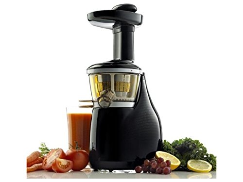 Vertical Masticating Juicer Color: Silver/Black