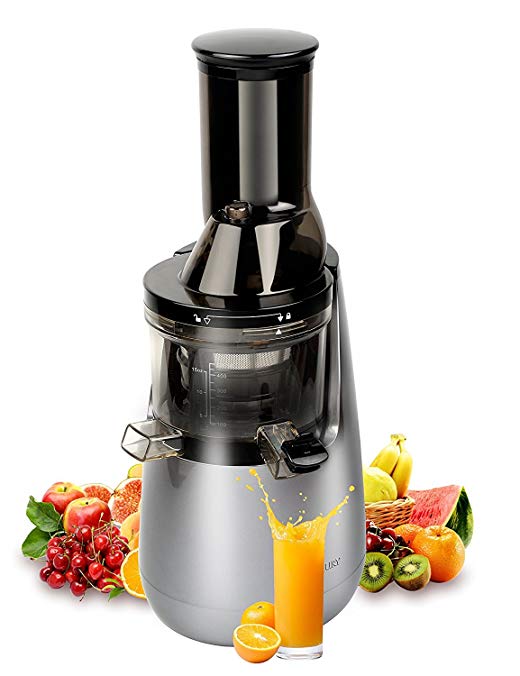 Wide Chute Anti-Oxidation Slow Masticating Juicer with Quiet Motor and Low Speed System 250W Powerful & 40RPMs Whole Slow Juicer and Cold Press Juicer for More Nutritions and More Fresher (Gray)